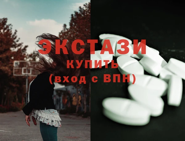 крисы Мегион
