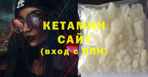 крисы Мегион