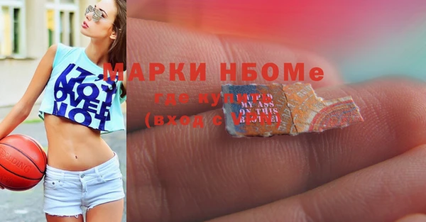 крисы Мегион