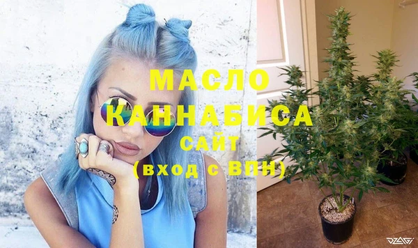 крисы Мегион