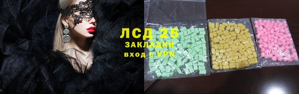 крисы Мегион