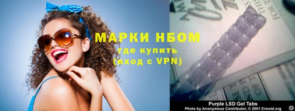 крисы Мегион