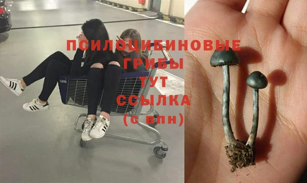 молекула духа Михайловка