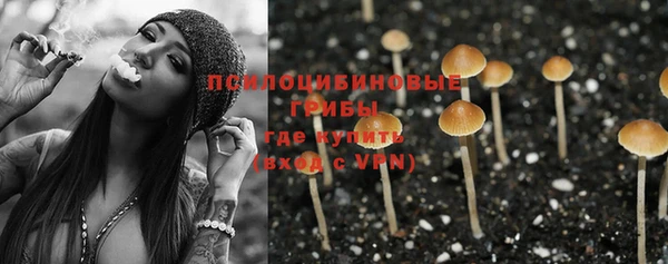 шишки Медногорск