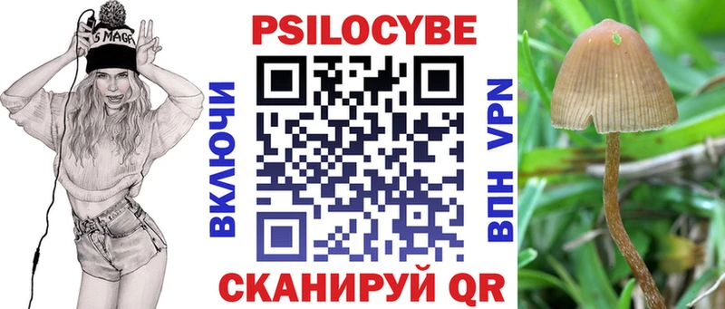 ссылка на мегу tor  Владивосток  Псилоцибиновые грибы Magic Shrooms  цены  