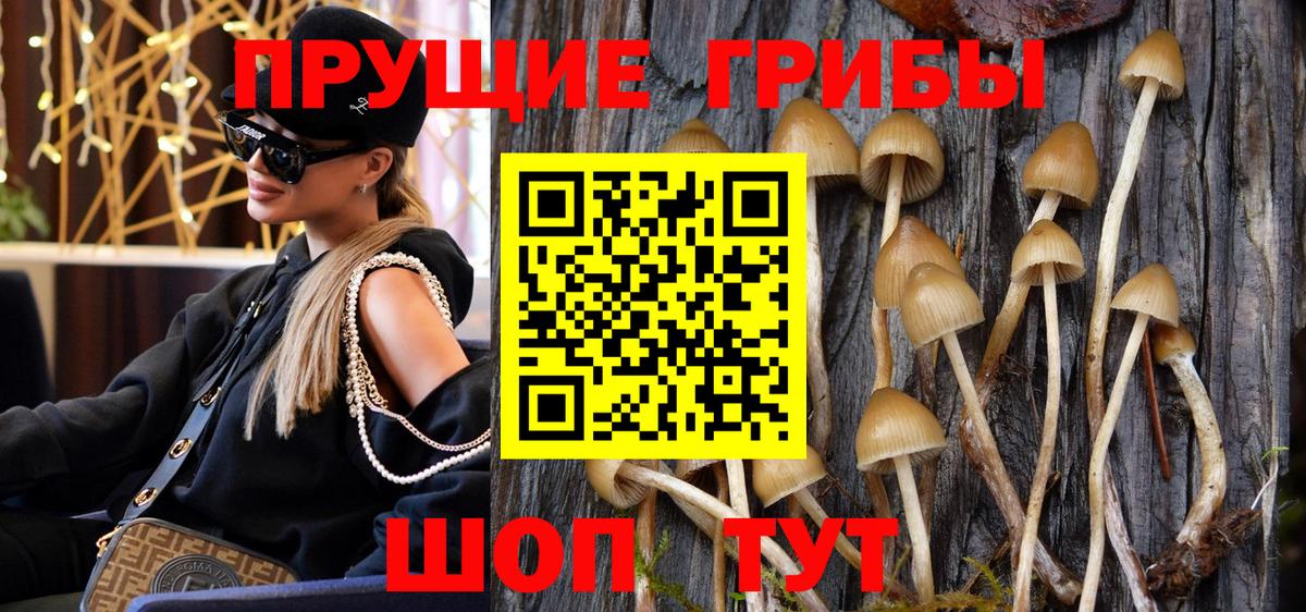 Галлюциногенные грибы Cubensis  Владивосток 