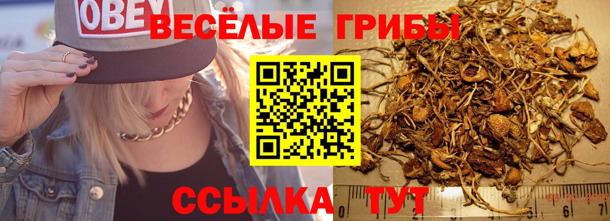 Галлюциногенные грибы MAGIC MUSHROOMS Владивосток