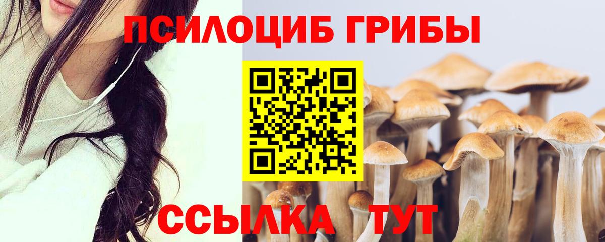 Галлюциногенные грибы мицелий Владивосток